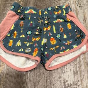 Piccolina: Insect and Microscope Shorts